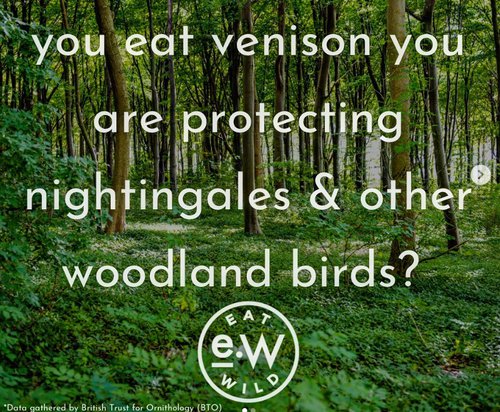 eat venison help birds.jpg
