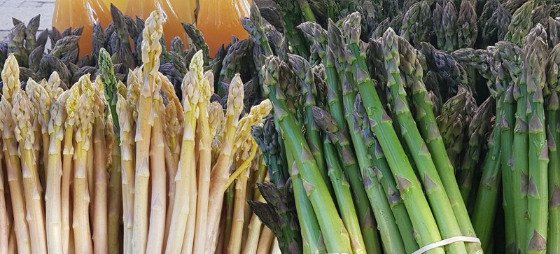 Asparagus crop 2