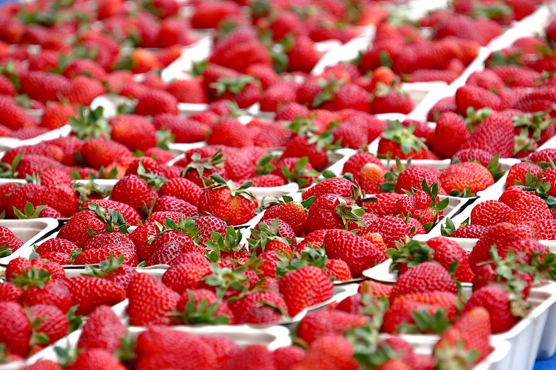 strawberries landscape in punnets 1400 x 932.jpg