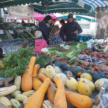 wild country BH winter squash 2